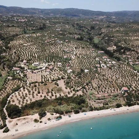 Filoxenia 9 Apartament *